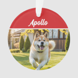 Ornamento Foto de Natal de Cachorro Akita Fofo