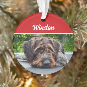 Ornamento Foto de Natal de Feriado de Cachorro Cachorro Cort