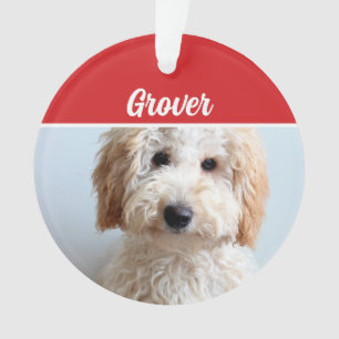 Ornamento Foto de Natal de Feriado de Cão Labradoodle