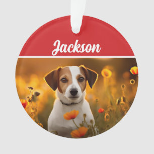 Ornamento Foto de Natal do Feriado de Cachorro Jack Russell