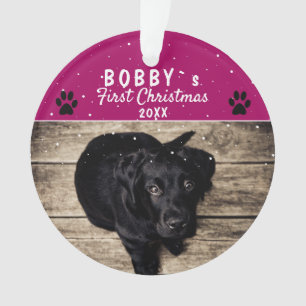 Ornamento Foto de Natal do Primeiro Cachorrinho Fofinho com