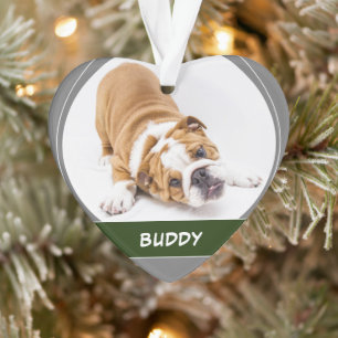 Ornamento Foto de Natal Moderna de Cachorro Bulldog Fofinho