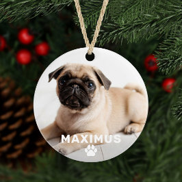 Ornamento Foto de Nome Personalizado de Impressão de Pet Dog