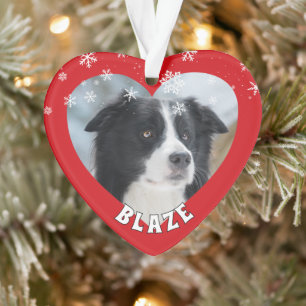 Ornamento Foto de Pet de Cachorro de Natal da Collie da Fron