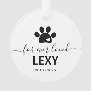 Ornamento Foto do memorial do cão-gato