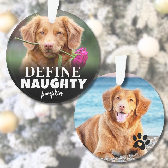 Ornamento Foto Engraçada de Natal do Pet 2 (Cute Define Naughty Dog Photo Ornament)