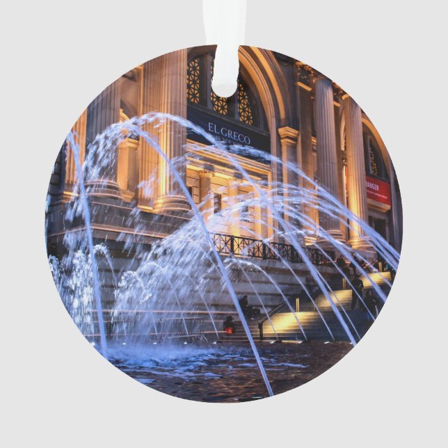 Ornamento Foto metropolitana do museu de arte (ENCONTRADO) (Verso)