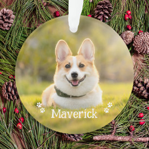 Ornamento Foto Moderna Simples e Elegante de Cachorro de Est