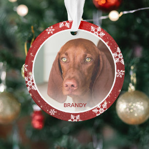 Ornamento Foto & Nome de Pet Personalizado Natal Festivo