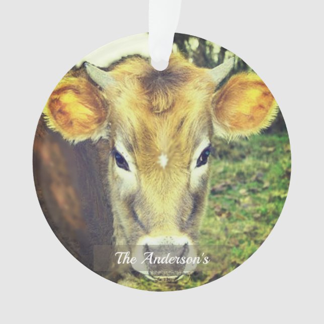 Ornamento Foto personalizada da vaca personalizada (Frente)
