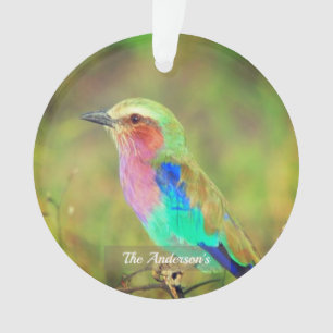 Ornamento Foto personalizada de aves multicolores personaliz