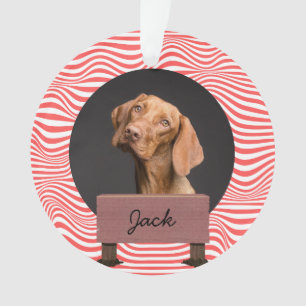 Ornamento Foto personalizada de cão de Natal de ilusão