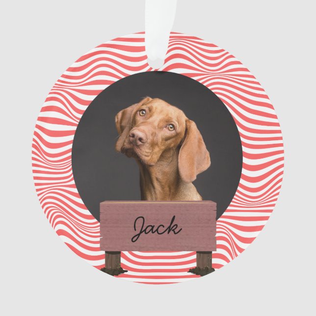 Ornamento Foto personalizada de cão de Natal de ilusão (Frente)