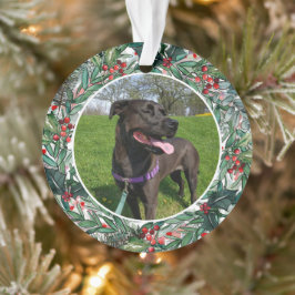 Ornamento Foto personalizada de Cão de Natal ou de Gato