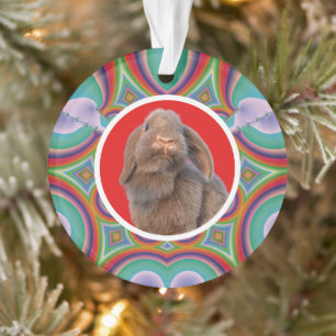 Ornamento Foto Personalizada de Coelho Holland Lop com Arco-