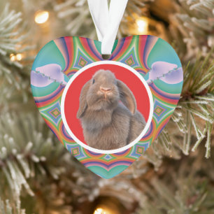 Ornamento Foto personalizada de Coelho Holland Lop com Arco-