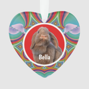 Ornamento Foto Personalizada de Coelho Holland Lop com Nome