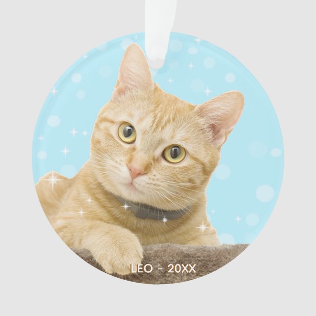Ornamento Foto Personalizada de Gato Tabby Gengibre (Frente)