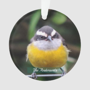 Ornamento Foto Personalizada de Pássaro Amarelo Fofo Customi