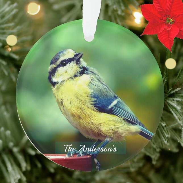 Ornamento Foto Personalizada de Pássaro Amarelo=peito Custom (Criador carregado)