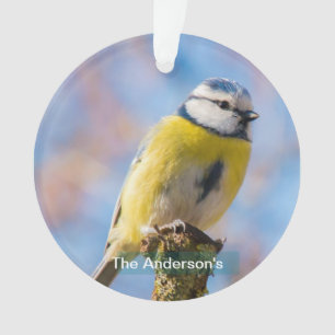 Ornamento Foto Personalizada de Pássaro Azul Amarelo Fofo Cu