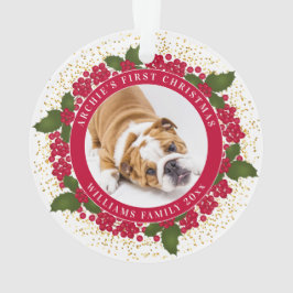 Ornamento Foto personalizada de Pet do seu primeiro Natal