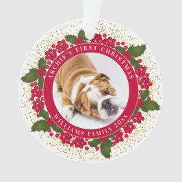 Ornamento Foto personalizada de Pet do seu primeiro Natal