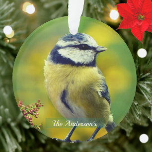 Ornamento Foto personalizada do azul-amarelo-peito Chat