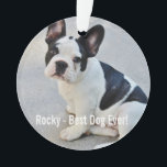 Ornamento Foto personalizada do Bulldog e Nome do Bulldog<br><div class="desc">Foto personalizada do Bulldog e o Nome do Bulldog - este design apresenta uma foto carregada do Bulldog (ou de qualquer cão), do nome do seu cão ou adiciona o seu próprio texto - Adoramos o "nome do cão", o aniversário do cão ou o dia de passagem. Basta clicar em...</div>