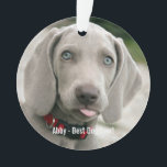 Ornamento Foto personalizada do cão Weimaraner e nome do cão<br><div class="desc">O design do Weimaraner Dog Photo e Weimaraner Dog Name apresenta uma foto carregada do seu Weimaraner (ou qualquer foto) ou adiciona seu próprio texto - Adoramos o "nome do cachorro", o aniversário do cachorro ou o dia de passagem. Basta clicar em "personalizar" para adicionar seu texto personalizado, alterar a...</div>