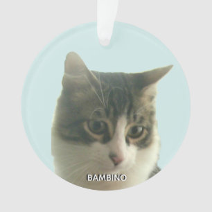 Ornamento Foto personalizada do Cat Tabby personalizada em a