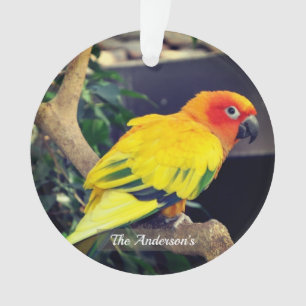 Ornamento Foto personalizada do Lovebird