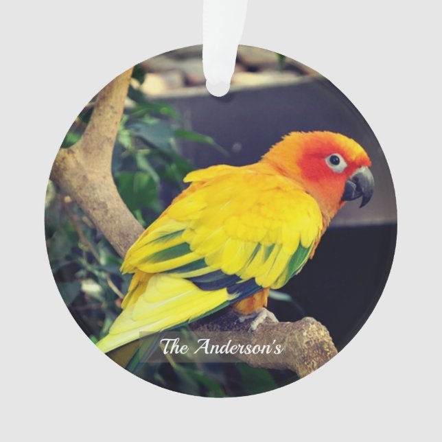 Ornamento Foto personalizada do Lovebird (Frente)