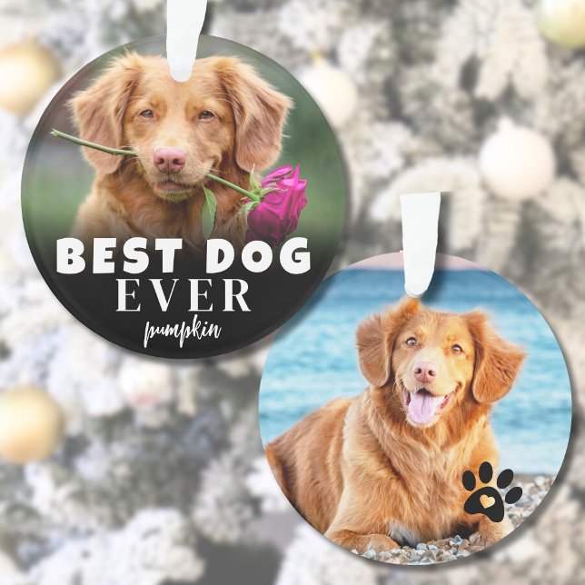 Ornamento Foto personalizada do melhor cão (Personalized Cute Best Dog Photo Ornament )