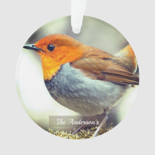 Ornamento Foto personalizada do pássaro Robin