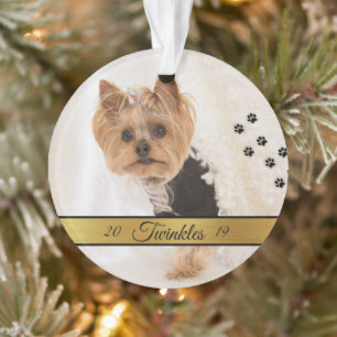 Ornamento Foto personalizada Pet