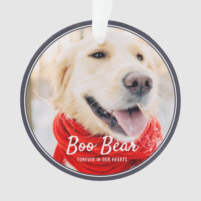Ornamento Foto Simples do Pet Memorial Modern Frames (Frente)