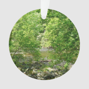 Ornamento Fotografia da Natureza do Rio Patapsco Maryland