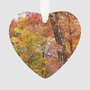 Ornamento Fotografia de Outono de Árvores Laranja e Amarela