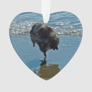 Ornamento Fotografia do Balé Keeshond - Arte de Cachorro Or