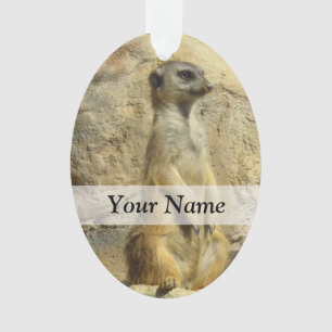 Ornamento Fotografia fofa do meerkat