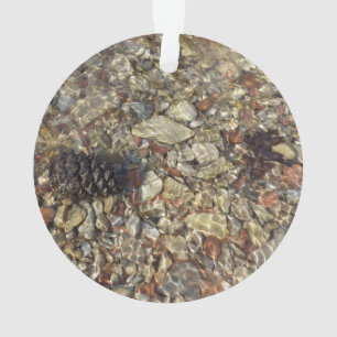 Ornamento Fotografia natural de Taylor Creek