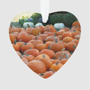 Ornamento Fotografias de Colheita de outono e Mães