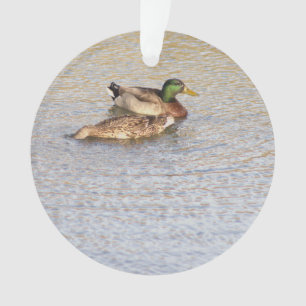 Ornamento Fotográfico de Patos Mallard