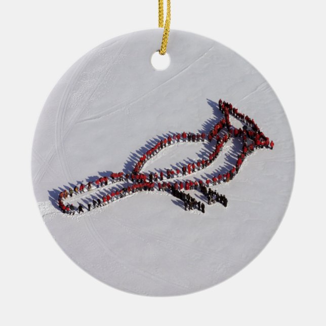 Ornamento frente e verso cardinal (Frente)