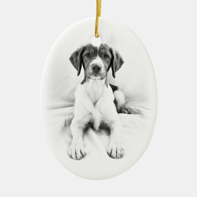 Ornamento frente e verso de Brittany (Frente)