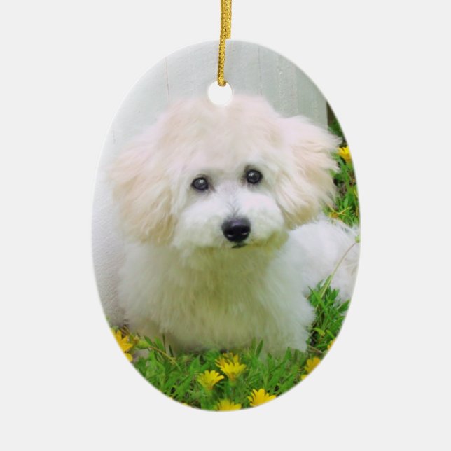 Ornamento frente e verso do feriado da foto (Frente)