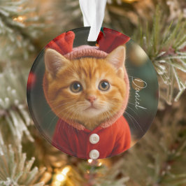 Ornamento Gatinho Rena