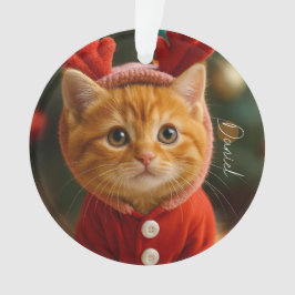 Ornamento Gatinho Rena