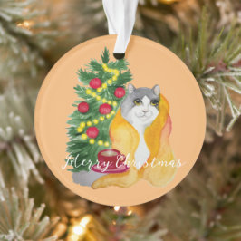 Ornamento Gato bonito debaixo de um cobertor confortável com